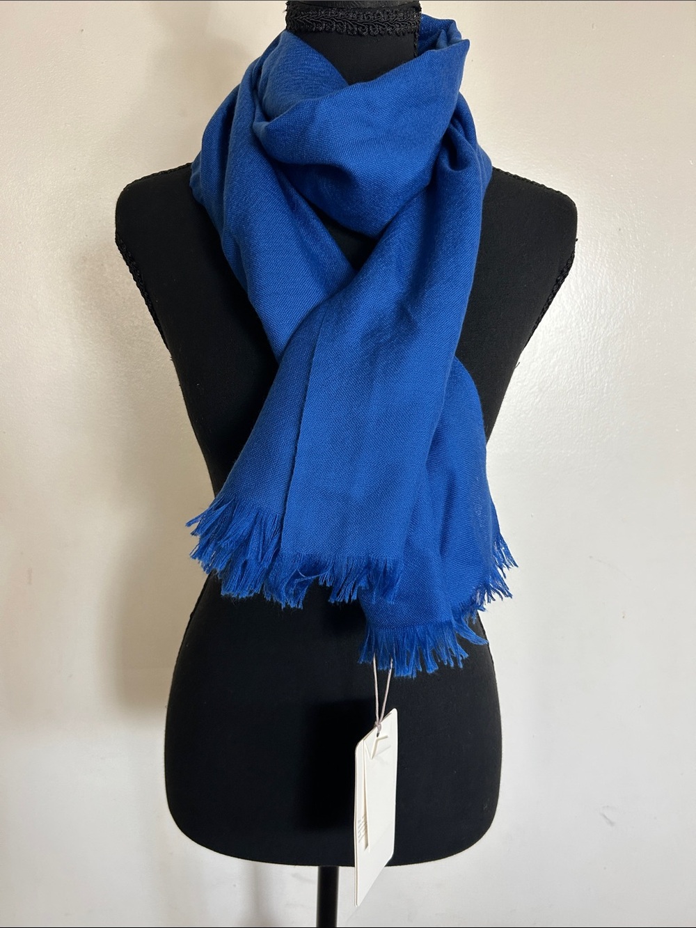 Eric Bompard 100% Cashmere Voile Fringed Scarf in Royal Blue